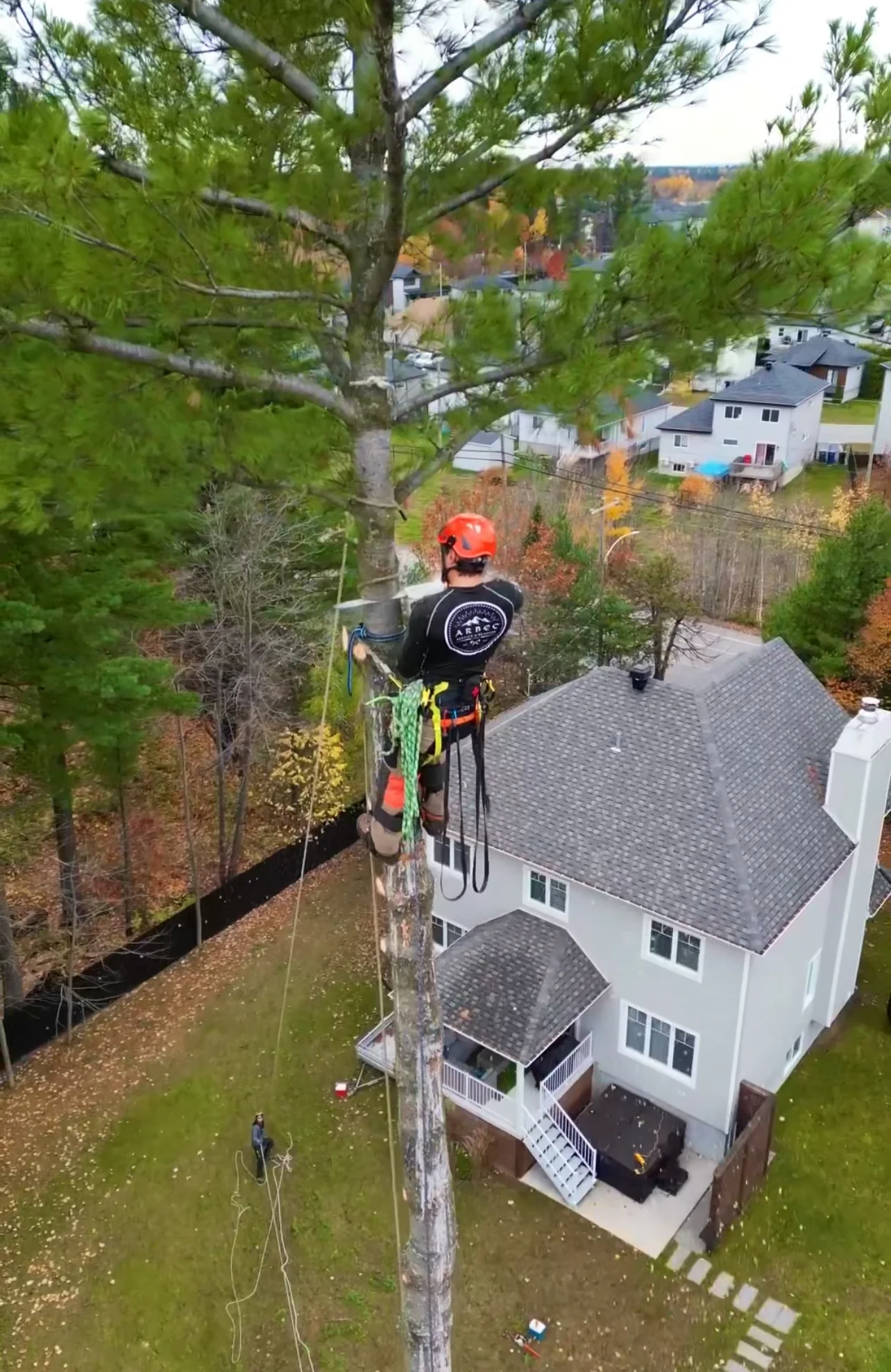 Vue aérienne d'un quartier résidentiel desservi par Élagage Arbec